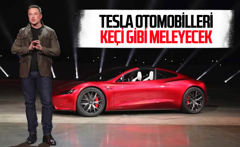 Elon Musk: Tesla araçları keçi gibi meleyecek