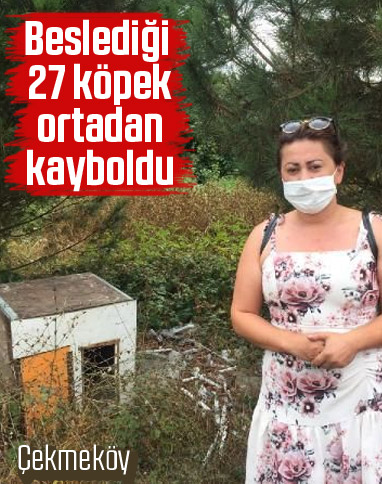 Çekmeköy'de 27 köpek ortadan kayboldu