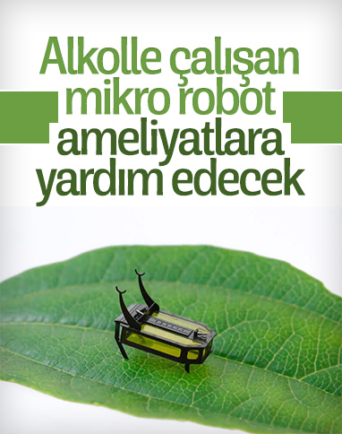 Alkolle çalışan mikro robot: RoBeetle