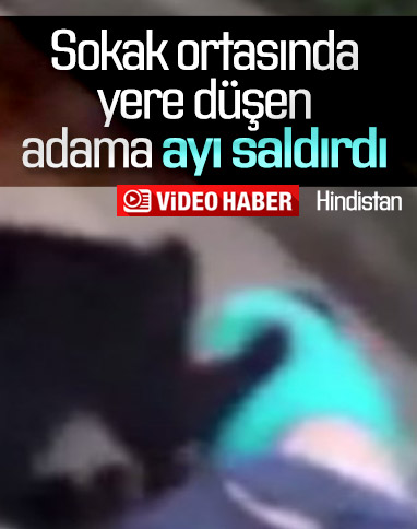 Hindistan’da ayı, sokak ortasında bir kişiye saldırdı