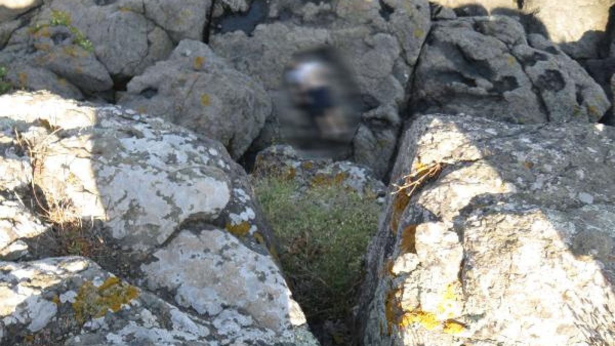 Beykoz’da kampa giren gencin cesedi kayalıklarda bulundu
