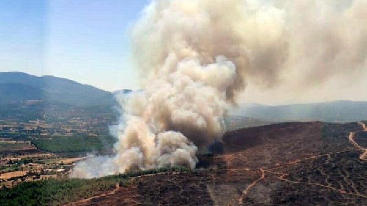 Muğla'da orman yangını: Havadan ve karadan müdahale sürüyor