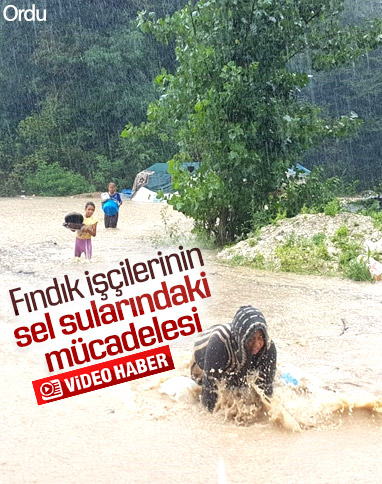 Ordu'daki fındık işçileri, sel sularında zor anlar yaşadı
