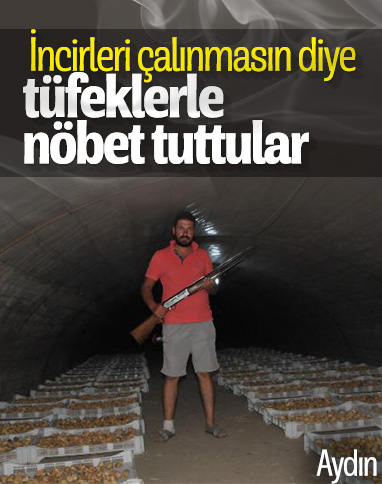 Aydın'da incir üreticisinin, hırsızlığa karşı tüfekli önlemi
