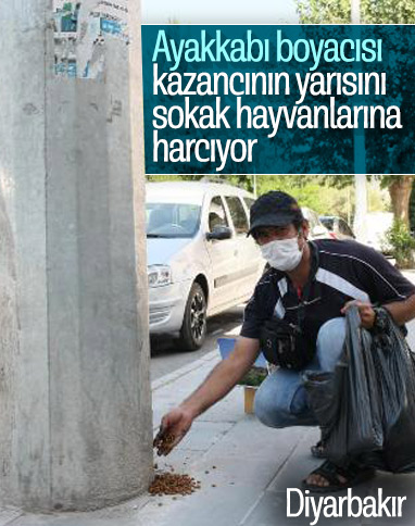 Diyarbakır'da ayakkabı boyuyor: Kazancının yarısını kedilere veriyor