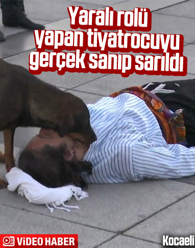 Yaralı rolündeki tiyatrocuya sokak köpeğinden sevgi gösterisi