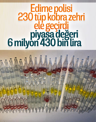 Edirne'de 230 tüp kobra yılanı zehri ele geçirildi