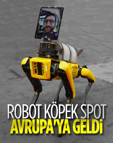 Boston Dynamics'in robot köpeği Spot Avrupa'da satışa çıktı
