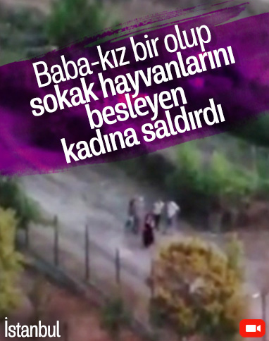 İstanbul'da sokak hayvanlarını beslemek isteyen kadın darbedildi