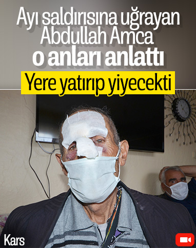 Kars'ta odun toplamak için ormana gitti, ayı saldırısına uğradı