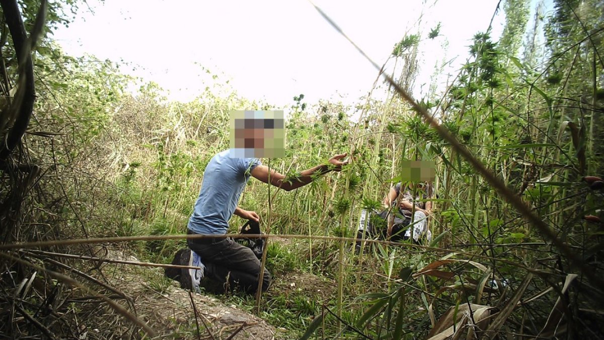 Manisa’da uyuşturucu tacirlerini fotokapan yakaladı
