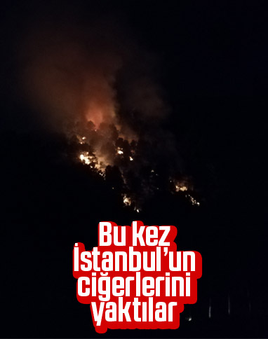 Aydos Ormanı'nda yangın çıktı