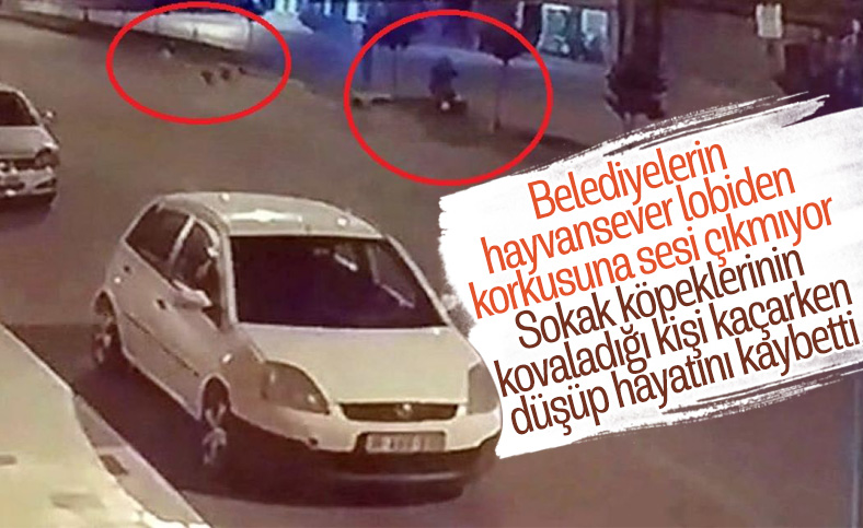 Hatay'da sokak köpeklerinden kaçarken başını refüje çarpıp öldü