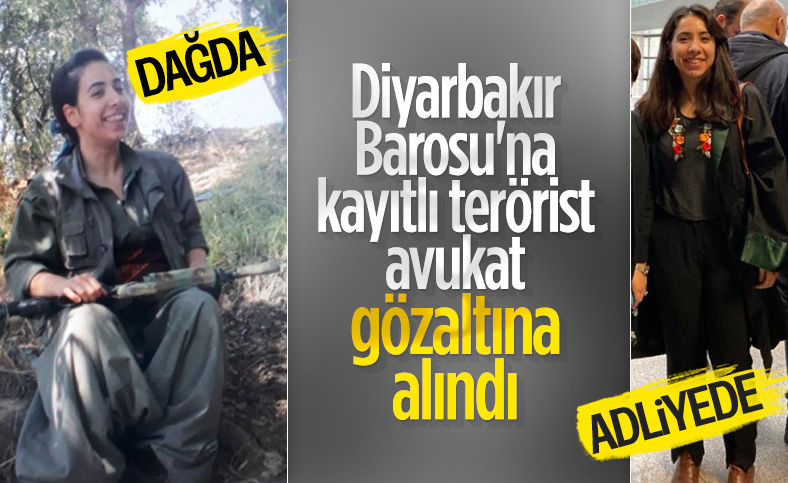 Kırmızı kategorideki teröristin sağ kolu Diyarbakır barosu avukatı çıktı