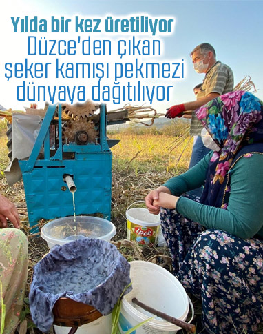 Düzce'de üretilen şeker kamışı pekmezi şifa kaynağı