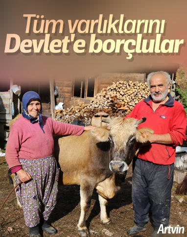 Artvin'de 'Devlet' sayesinde çiftlik sahibi oldular