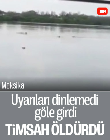 Meksika’da evsiz adamı timsah yedi