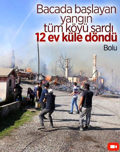 Bolu’da Kuzfındık köyü alevlere teslim oldu