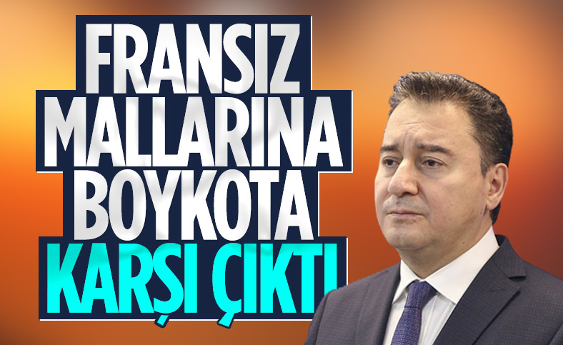 Ali Babacan’dan Fransız mallarına boykot yorumu: Bunlar çocukça şeyler