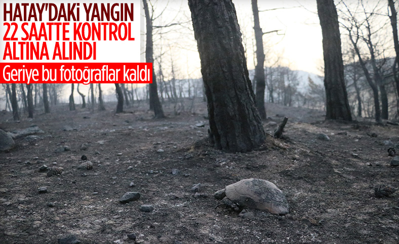 Bekir Pakdemirli: İskenderun'da başlayan yangın kontrol altına alındı