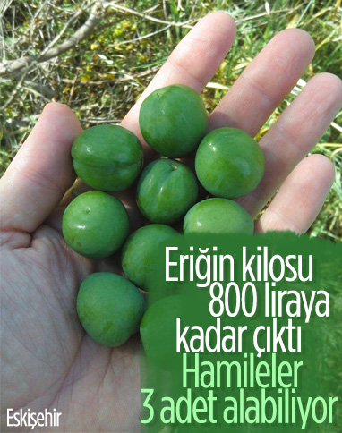 Eskişehir’de 3 adet erik 40 lira