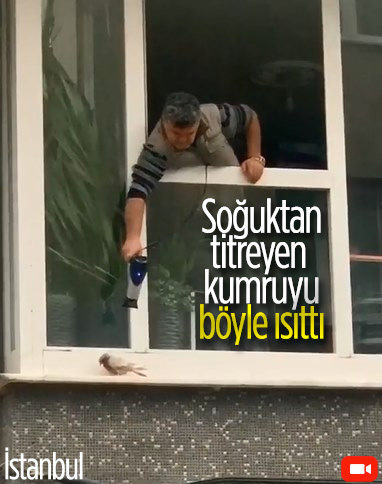 Sultangazi'de soğukta kalan kumruya saç kurutma makinesi ile müdahale