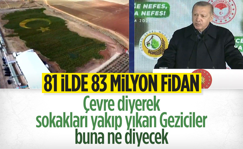 Cumhurbaşkanı Erdoğan: Gezi'de çevre için sokakları yakanlar, fidan seferberliğimizi kötüledi