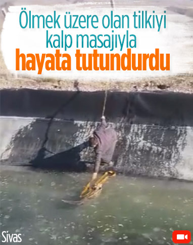 Sivas'ta buzla kaplı su kanalında mahsur kalan tilki kurtarıldı