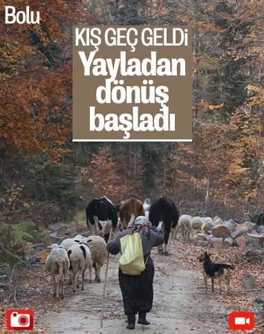 Bolu'da yaylacılar eve dönüyor
