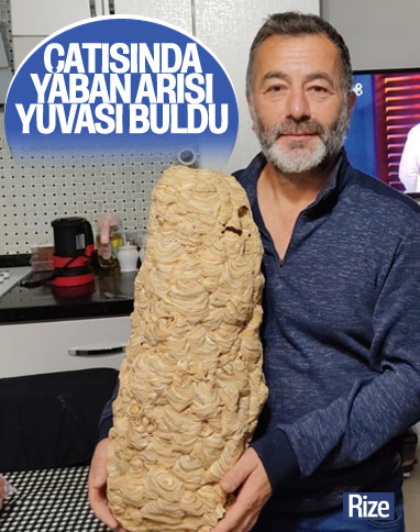 Rize'de evinin çatısında dev yaban arısı yuvası buldu