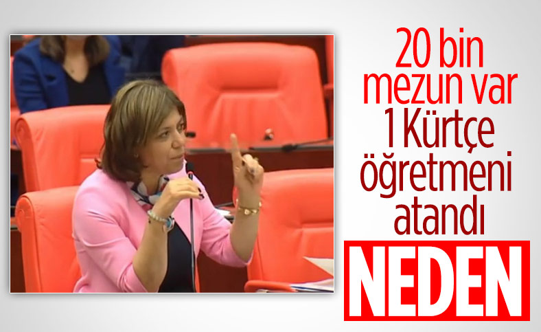 Meral Danış Beştaş: 20 bin mezundan sadece 1 tane Kürtçe öğretmeni atandı