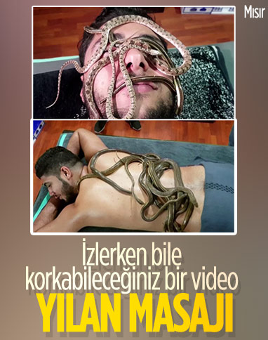 Mısır'da yılanlarla yapılan masaj