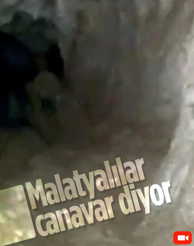 Malatya'da mağarada görüntülenen esrarengiz canlı