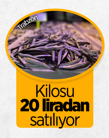 Trabzon'da taze hamsinin kilogramı 20 liradan satılıyor