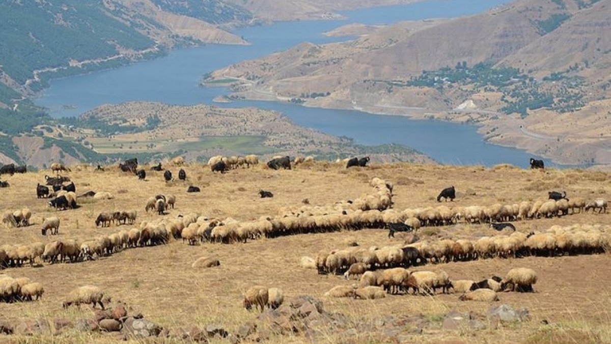 Diyarbakır'ın Şenyayla bölgesi, Muş'a bağlandı