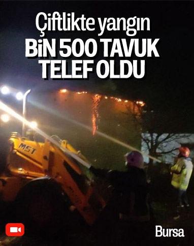 Bursa'da tavuk çiftliğindeki yangında bin 500 tavuk telef oldu