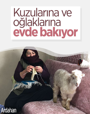 Ardahan'da 5 çocuk annesi, kuzularına evde bakıyor
