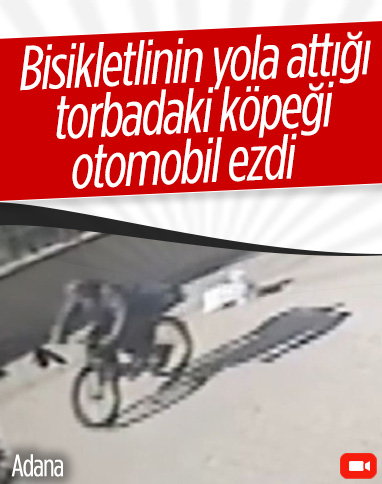 Adana'da bisikletlinin yola attığı torbadaki köpeği otomobil ezdi