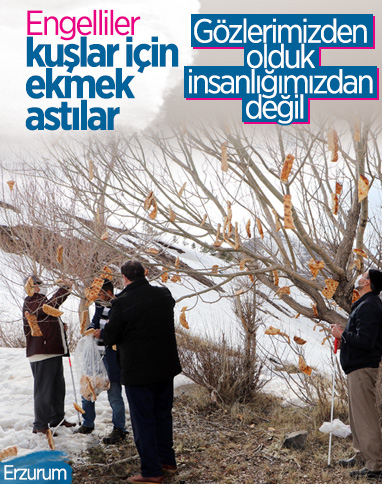 Erzurum'daki engelliler, kuşlar için 'rızık ağacı'na ekmek astı