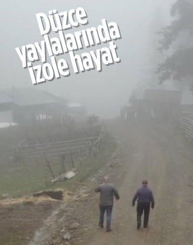Düzce'de salgın sürecinde yerleştikleri yaylalarda izole hayatın keyfini çıkarıyorlar