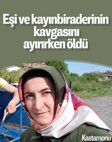 Kastamonu'da eşi ve kayınbiraderinin kavgasını ayırırken öldü