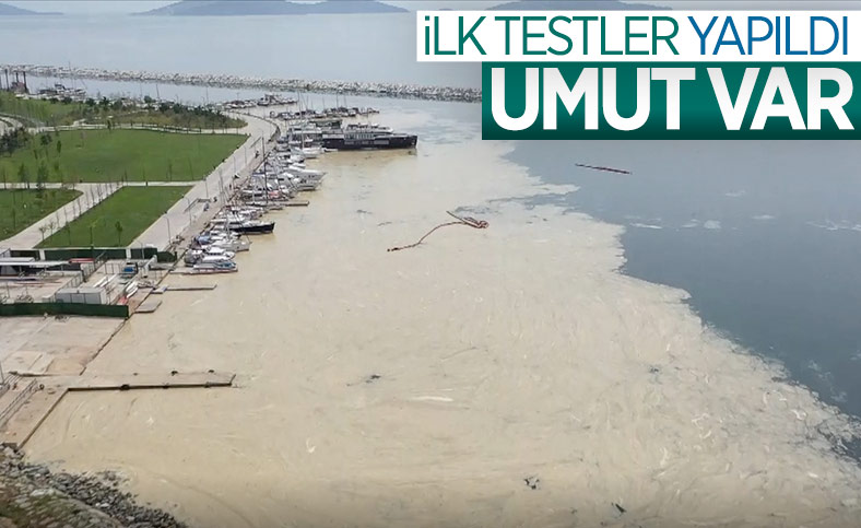 Marmara Denizi'ndeki deniz salyasına, reaktif oksijen yöntemiyle çözüm