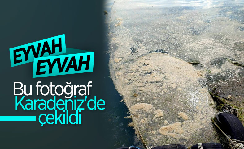 Karadeniz’de deniz salyası