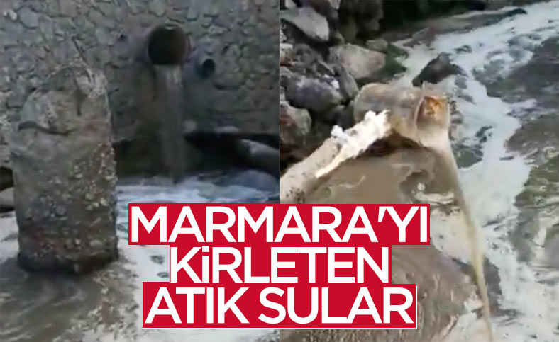 Kocaeli'de atık sular Marmara Denizi'ne dökülürken görüntülendi