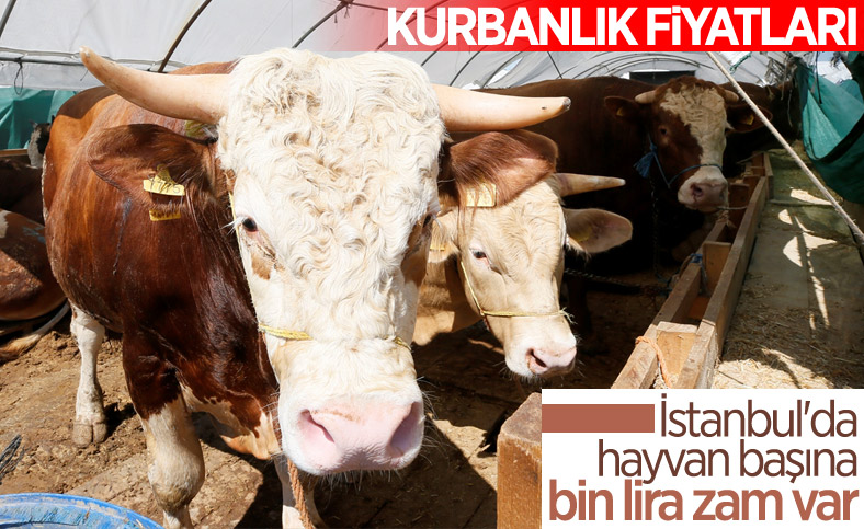 Kurban pazarları hareketlendi: Fahiş fiyat artışı var