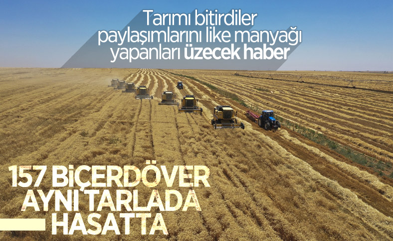 Türkiye'nin en büyük işletmesinde yerli tohumluk buğdayın hasadı