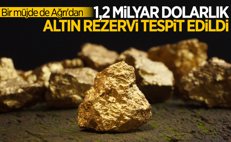Ağrı'da altın ve gümüş rezervi tespit edildi