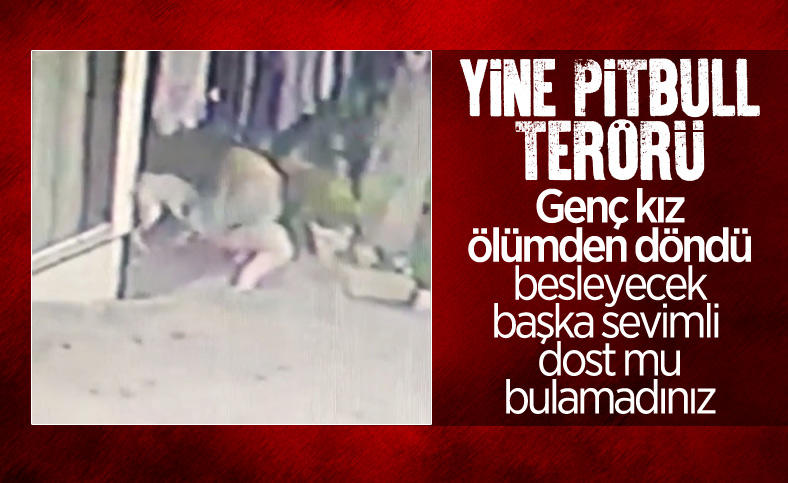 Başakşehir’de 16 yaşındaki kıza pitbull saldırısı kamerada
