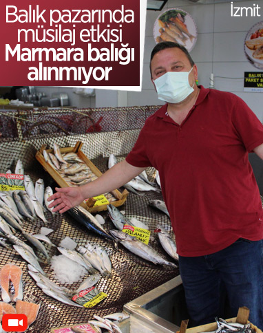 İzmit’te müsilaj, müşterinin ayağını balık pazarından kesti