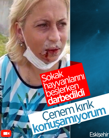 Eskişehir'de sokak hayvanlarını beslerken darbedildi